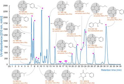 The high-throughput solid-phase extraction of cis-cyclo(L-Leu-L-Pro) and cis-cyclo(L-Phe-L-Pro) from Lactobacillus plantarum demonstrates efficacy against multidrug-resistant bacteria and influenza A (H3N2) virus